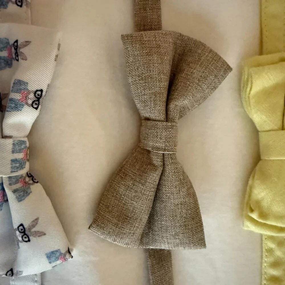 GET FOUR AMAZING JANIE AND JACK BOW TIES - A GREAT OFFER!